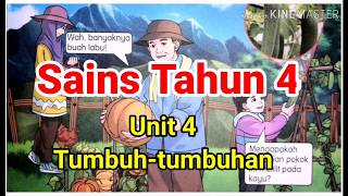 Proses Fotosintesis | Sains Tahun 4