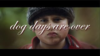 Dog Days Are Over | Hunt for the Wilderpeople