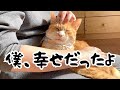 愛猫が最期に残したまさかのメッセージに泣き笑い【総集編】