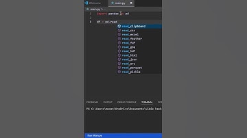 I import Excel file with python 🐍 #shorts #programming #python