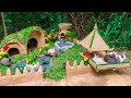 Rescue Abandoned Rabbit And Build the Rabbit Hut with Rabbit Playground Yard