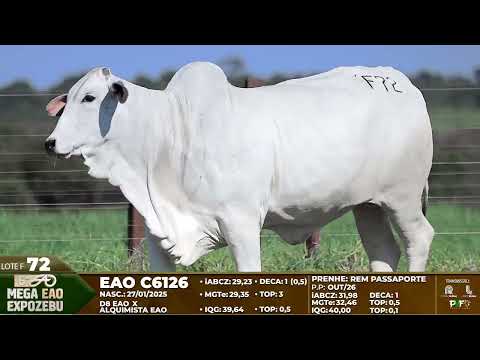 LOTE F72