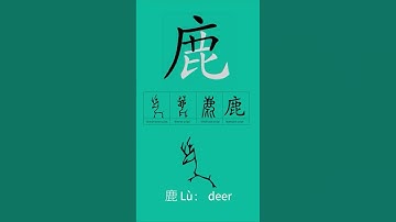 How to write deer鹿in Chinese| stroke order 鹿 Chinese character evolution #stroke order  #hsk5