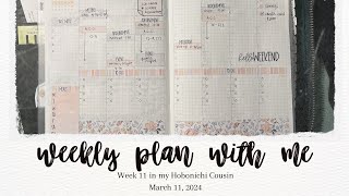 PLAN WITH ME | Mar 11  17 in my Hobonichi Cousin