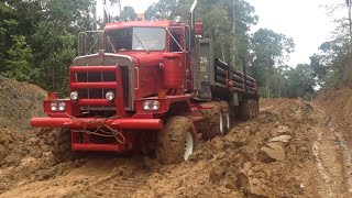 : You won't believe what these trucks are capable of!!! Trucks Oshkosh, CAT, TATRA, MAN, M35A2, ZIL