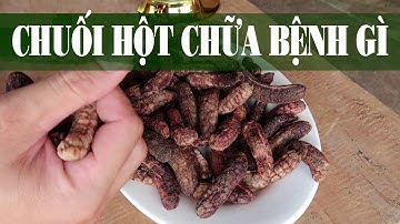 Chuối Hột Có Tác Dụng Gì? chuối hột chữa bệnh gì. chuối hột ngâm rượu ?
