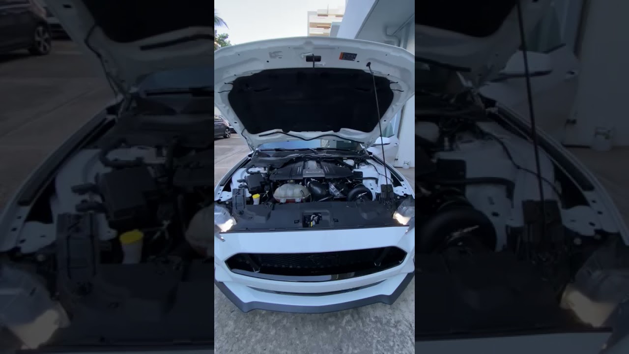 ESS tuning G2 Mustang start up