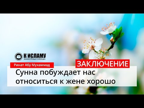 Сунна побуждает нас относиться к жене хорошо: Заключение — Ринат Абу Мухаммад