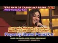 Tere nan da zaaiqa inj sajna instrumental by shahid parvez ch