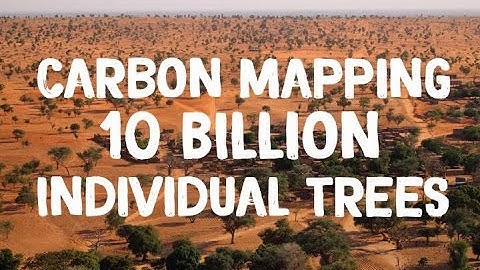 NASA Maps Carbon of 10 Billion Individual Trees