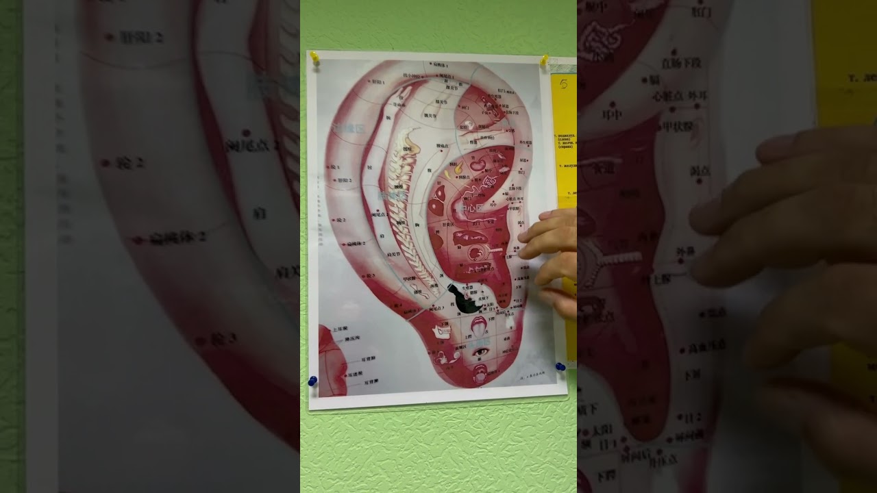 воздействие на точки через ухо