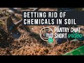 Getting Rid of Chemicals in Soil | Pantry Chat Podcast Short