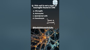 Neural Control & Coordination #neetpyq #neet #biology #pw #mcqneet #neet2025biology #ncertbiology