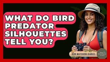 What Do Bird Predator Silhouettes Tell You? - Bird Watching Diaries