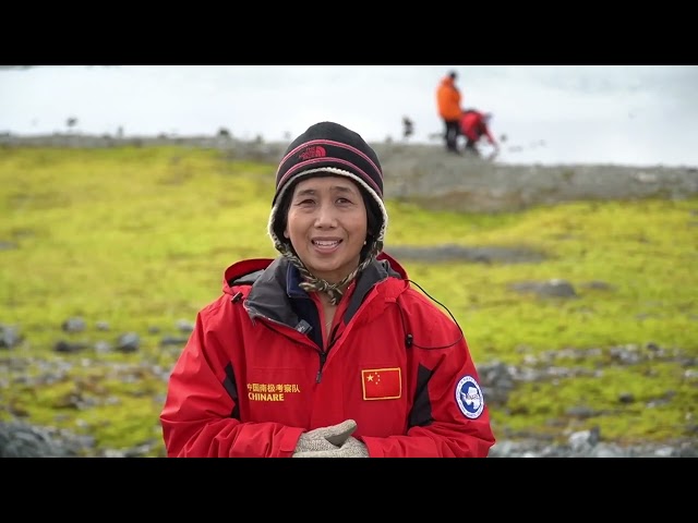 รายงานจาก สถานีสำรวจขั้วโลกใต้