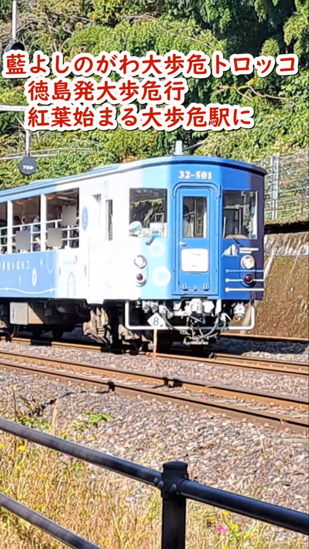 観光列車】藍よしのがわ大歩危トロッコ 徳島発大歩危行 紅葉始まる