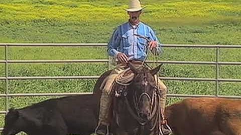PETER CAMPBELL •  INTRO TO RANCH ROPING  •  PART ONE