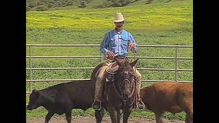 PETER CAMPBELL •  INTRO TO RANCH ROPING  •  PART ONE