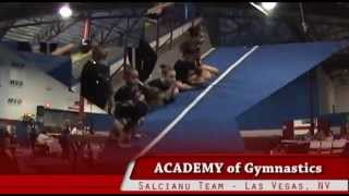 Sara (Level 5), AH..! 2009 - Beam, Floor, Vault and Bars