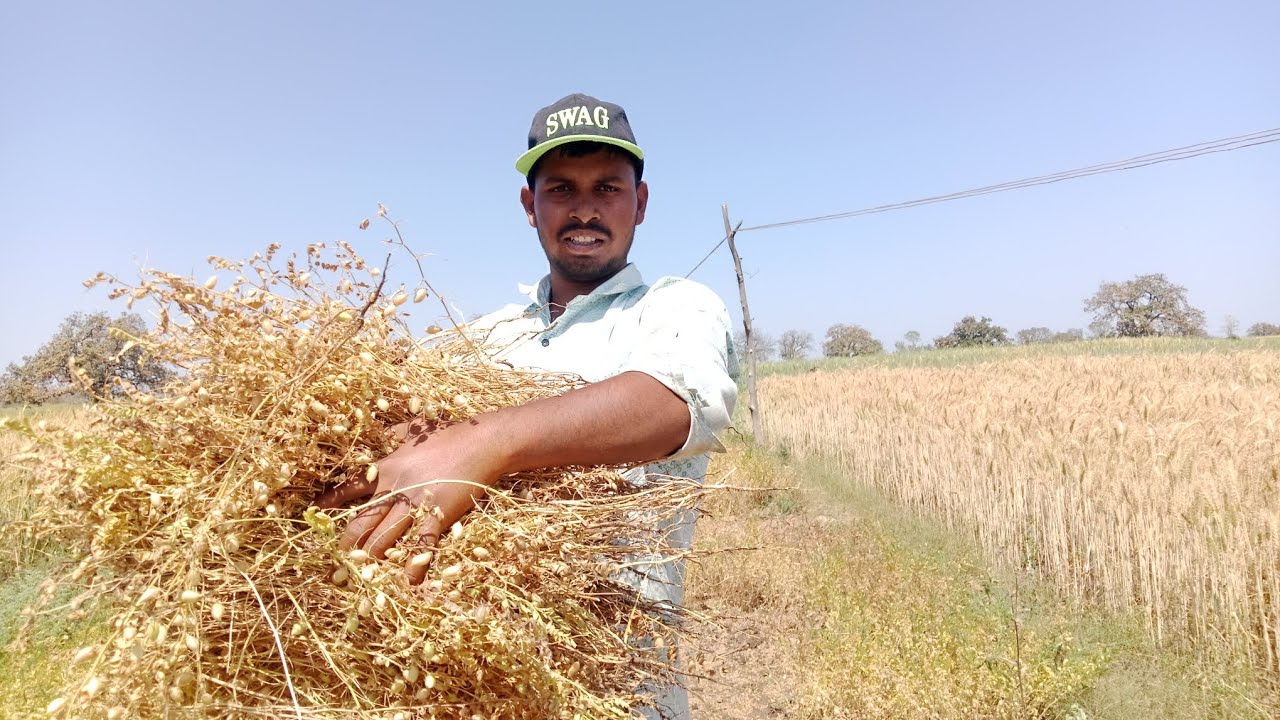 To Aaj chana ikta karne jana hai#chana #ekta karne jana hai #mummy #me #daliyvlog#vlog 