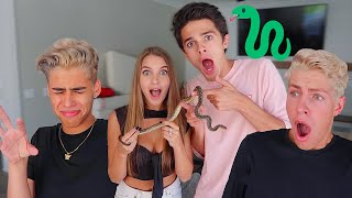 PRANKING FRIENDS WITH A SNAKE!!
