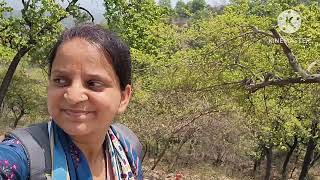 Chandi devi Mandir# full vlog#Haridwar#