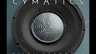 Cymatics - Nigel Stanford