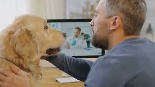 How to Start a Dog Breeding Business in 2026 - Step by Step Guide