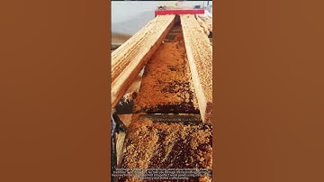 How This Factory Processes 100 Wood Panels Every Hour! 🌲