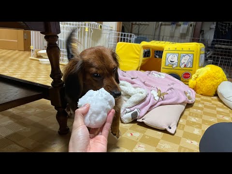 配信が重たかったゆえ放送し直す！
