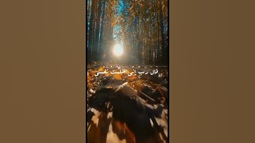 قَالَ رَبِّ إِنِّى ظَلَمْتُ نَفْسِى فَٱغْفِرْ لِى 🥺 ♡سورة القصص ♡#حوقلوا