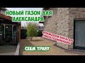 Новый газон для Александра. Сеем газонную траву. Укладка кабеля для робота газонокосилки.