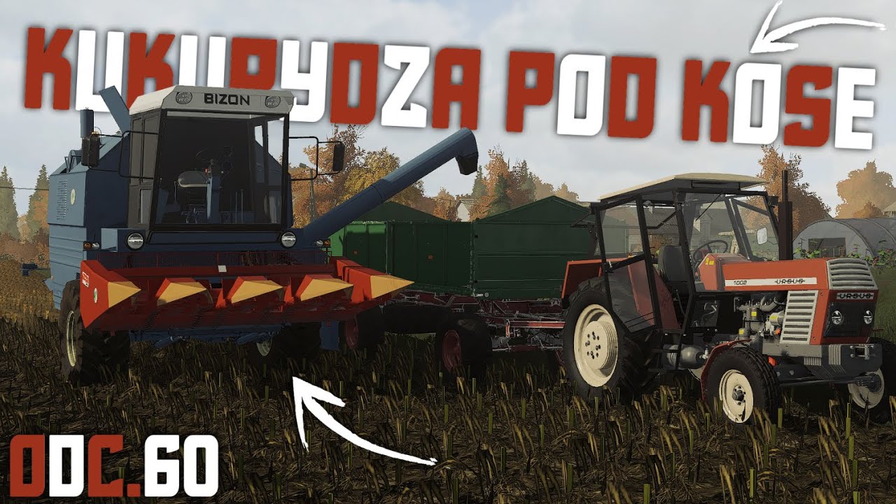 Kukurydza Pod Kose? Sąsiad w Odwozie?!☆Bizon Buszuje w Kukurydzy ...