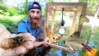 Building BUG CHOPPER LAMP Fish Feeder  for Backyard Fish Pond!