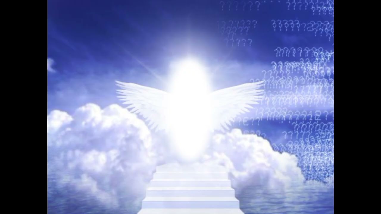 [FREE] PLUG Type Beat - "angel"