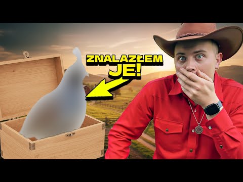 Znalazłem Parke Tych Ptaków! & Remont