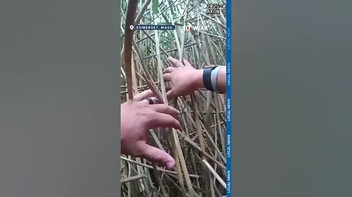 Police rescue missing man from swamp