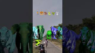 Big dinosaur chase T-rex chasingpart -1160#shorts #dinosaur#youtube#dinosaurs #superman#ddininner🐯🦣🦖