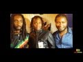 Raging fyah  rebel salute 2015