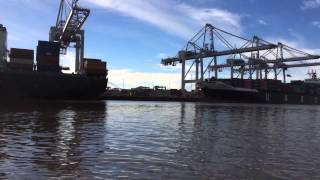 Kayaking along the Savannah River waterfront