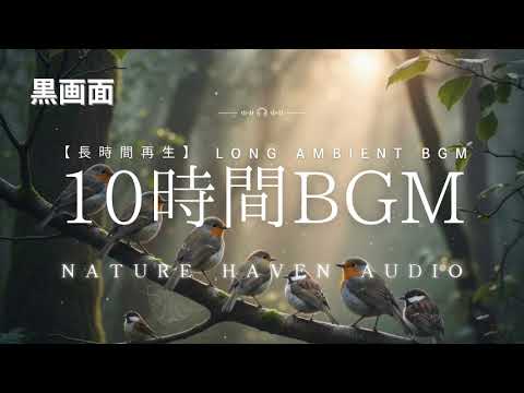 Peaceful Birds Chirping in the Forest (10H) | 静かな森の鳥の