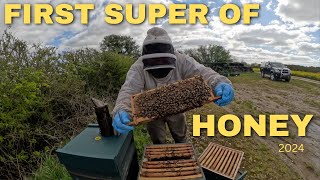 First super of Honey