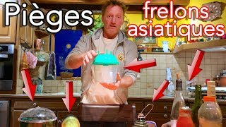 Pièges à frelons asiatiques le pour et le contre - Les tutos d'Etienne # 2