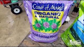 Blueberry Bushes Thrive in Coast of Maine Acid-Loving Plant Soil