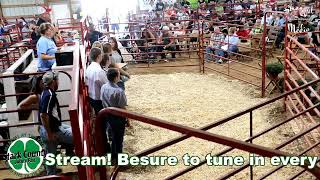 Junior Fair Stark County Live Stream