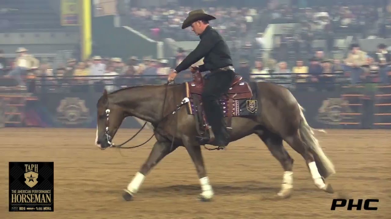 TAPH Andrea Fappani Rode Trash Talkin Spook Owned by Marilyn Overgaard 230.5