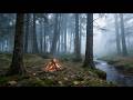 Woodsy Campfire in the Mist Relaxing Outdoor Ambience for Deep Relaxation, Sleep & Stress Relief