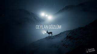 Ceylan Gözlüm
