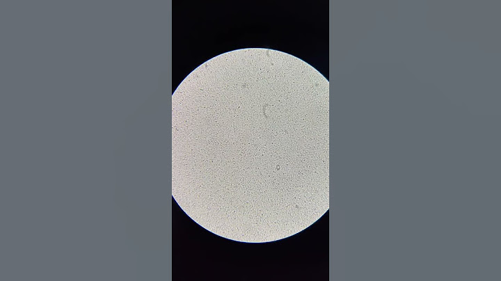致敬宗老！#显微镜下的世界 #实验室日常 #科普一下 #AD钙奶#Microscope # shorts