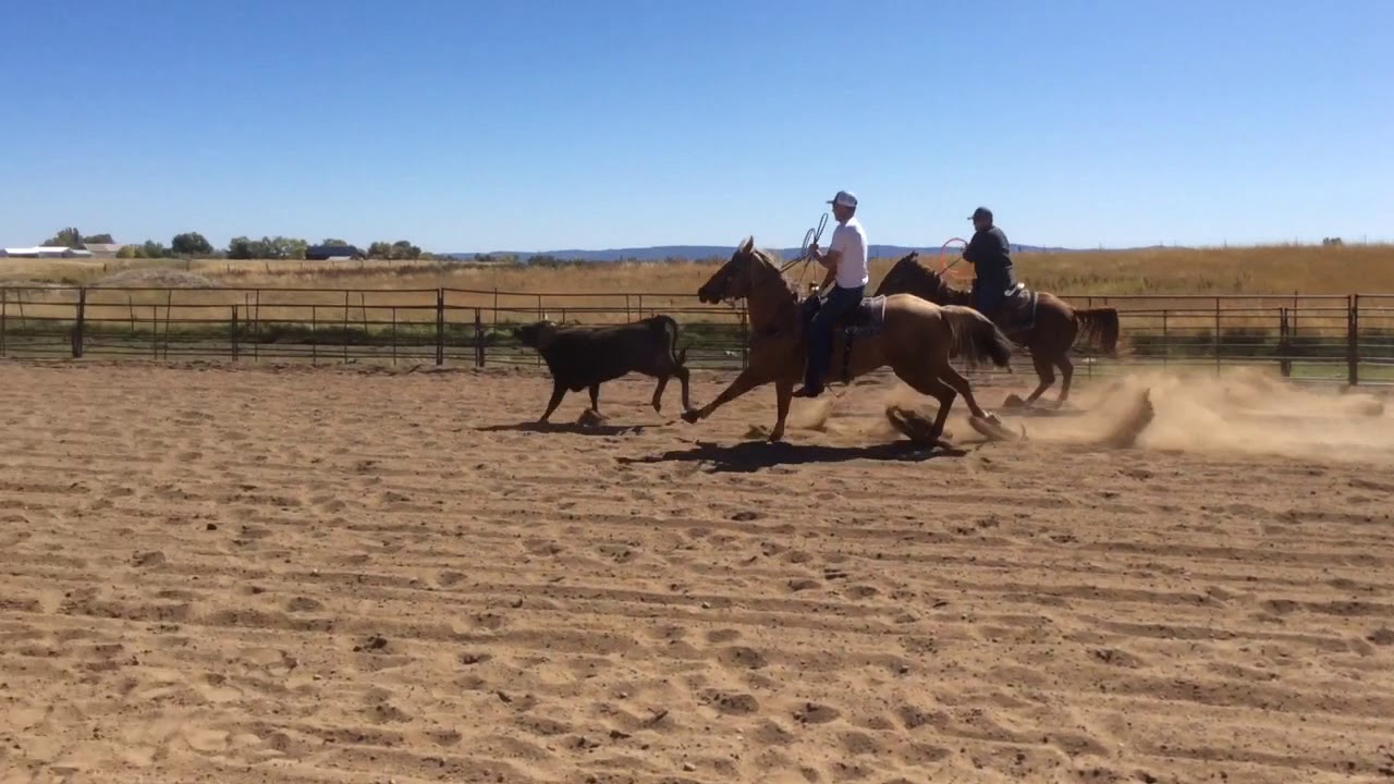 AF0BBEE2 20EC 41E1 B291 73DE89D07A50